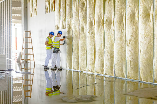 Best Types of Insulation in Hyde Rk, PA